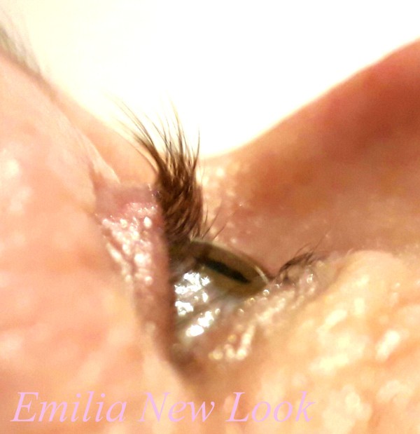 Emilia New Look Wenkbrauwen